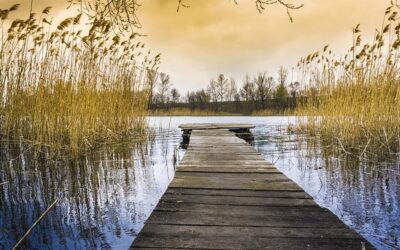 Overprikkeling & hooggevoeligheid (HSP)